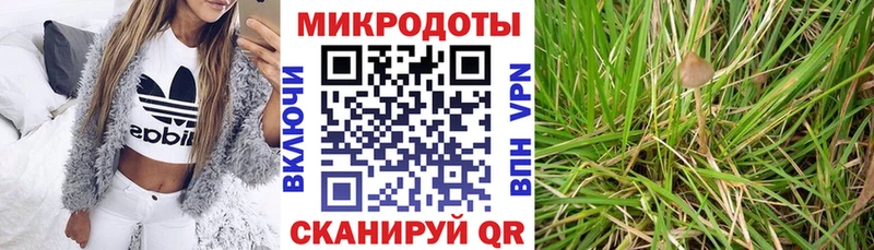 Галлюциногенные грибы Cubensis  купить наркоту  Казань 